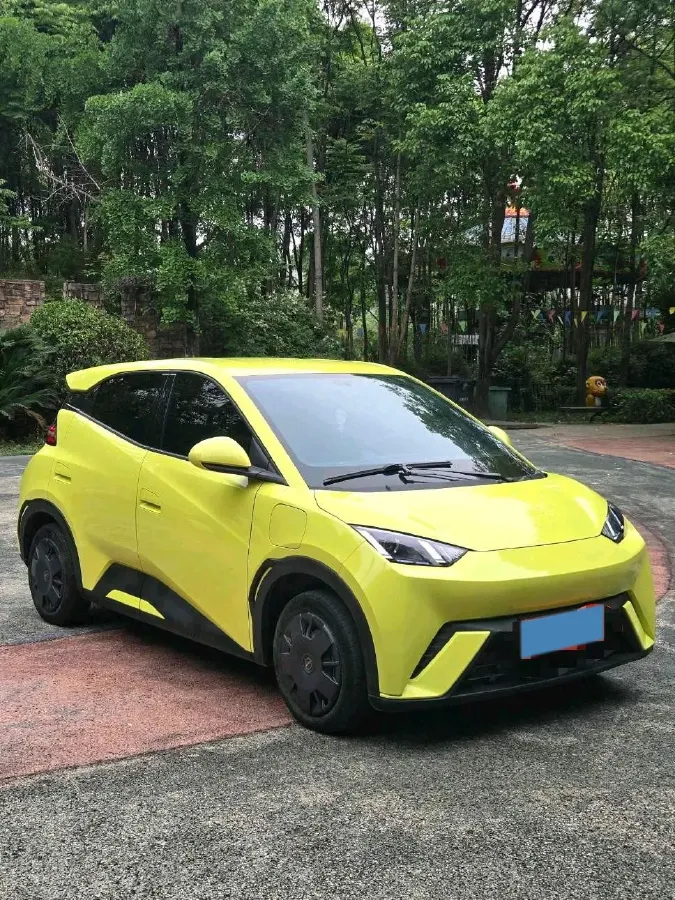 2024 BYD Seagull BEV 30.08KWH,autocango,china used car exporter,china ev exporter,chinese used car exporter,chinese used ev exporter