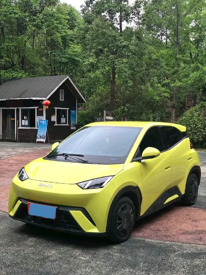 2024 BYD Seagull BEV 30.08KWH,autocango,china used car exporter,china ev exporter,chinese used car exporter,chinese used ev exporter