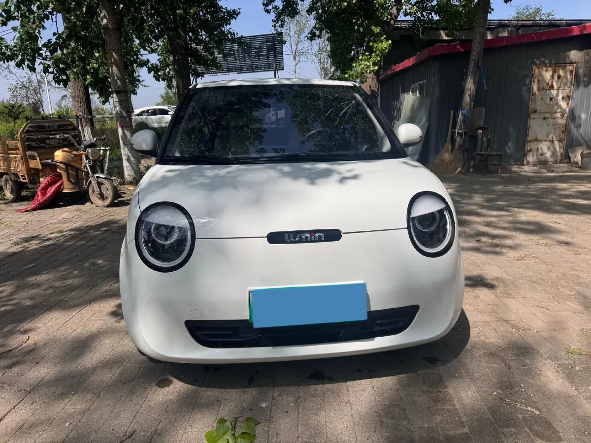 2023 ChangAn QiYuan Lumin BEV 17.65KWH,autocango,china used car exporter,china ev exporter,chinese used car exporter,chinese used ev exporter