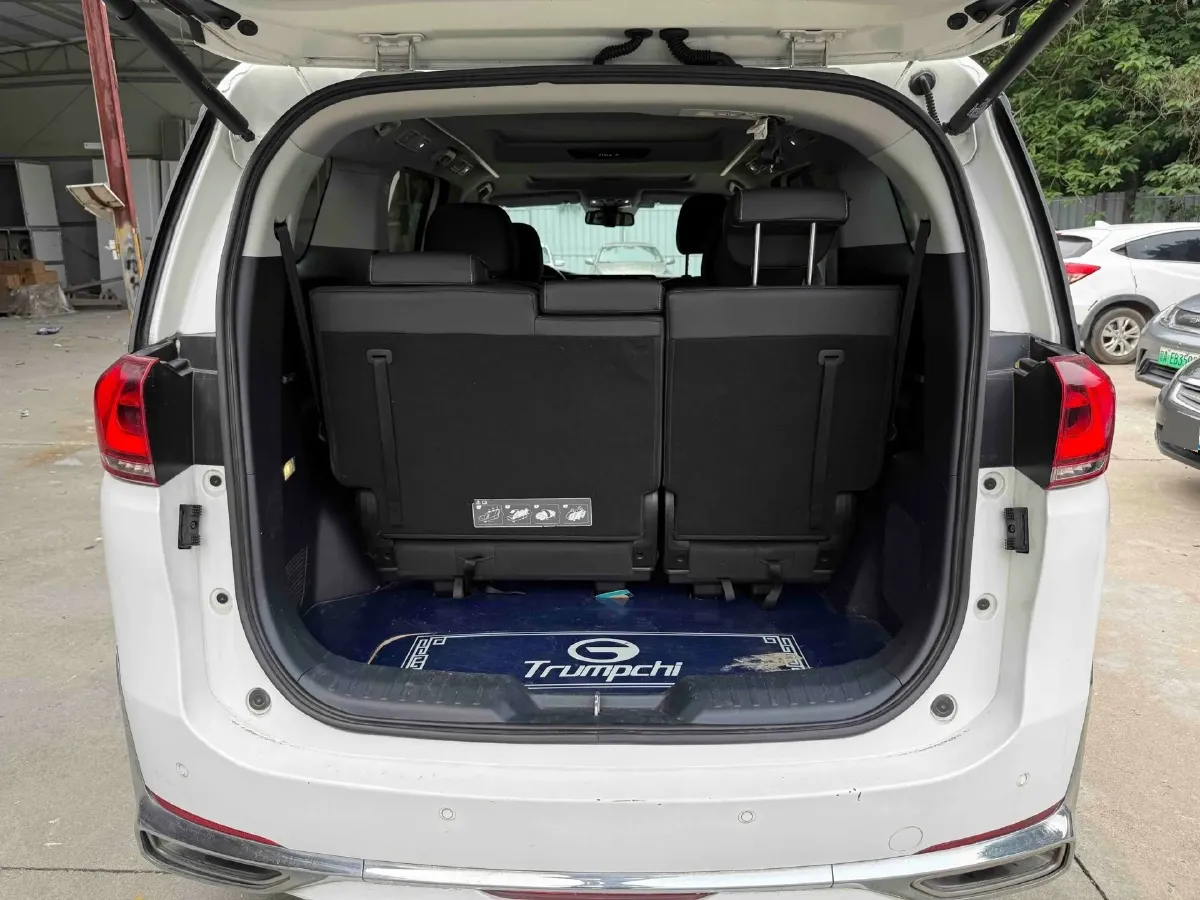 2021 GAC Trumpchi M8 2.0T 252HP L4 8AT,autocango,china used car exporter,china ev exporter,chinese used car exporter,chinese used ev exporter