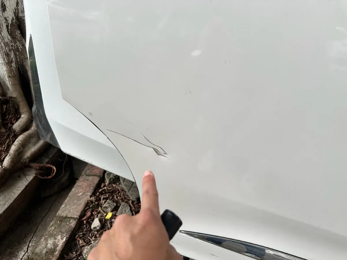 2021 GAC Trumpchi M8 2.0T 252HP L4 8AT,autocango,china used car exporter,china ev exporter,chinese used car exporter,chinese used ev exporter