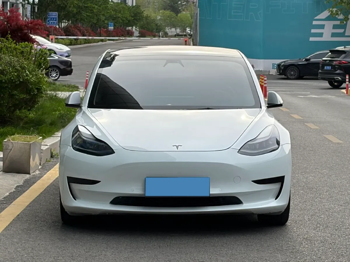 2021 Tesla Model 3 BEV 55KWH,autocango,china used car exporter,china ev exporter,chinese used car exporter,chinese used ev exporter
