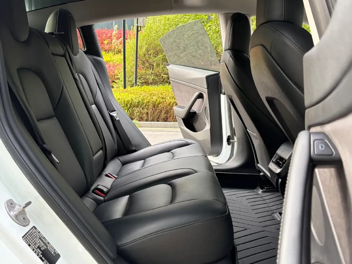 2021 Tesla Model 3 BEV 55KWH,autocango,china used car exporter,china ev exporter,chinese used car exporter,chinese used ev exporter