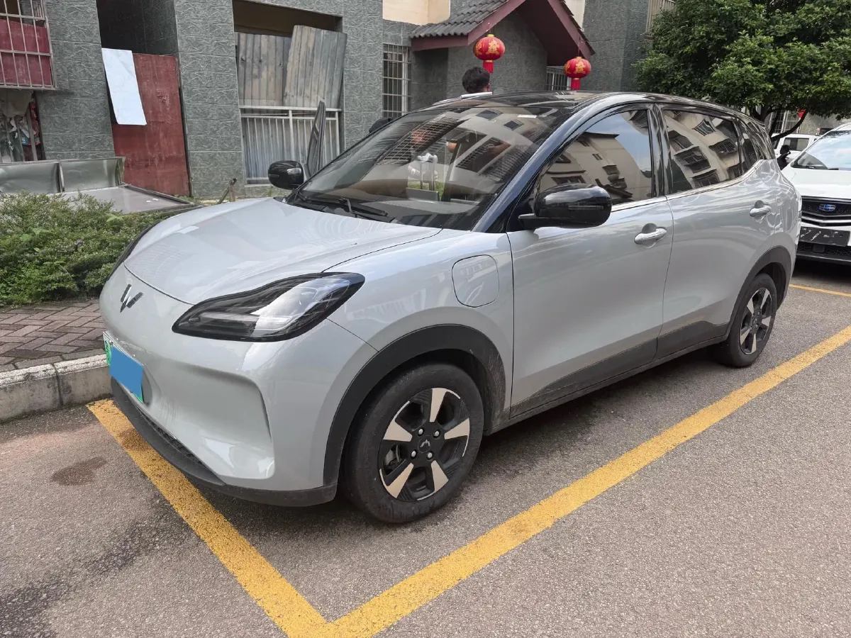 2024 WuLing BinGuoPLUS BEV 31.9KWH,autocango,china used car exporter,china ev exporter,chinese used car exporter,chinese used ev exporter