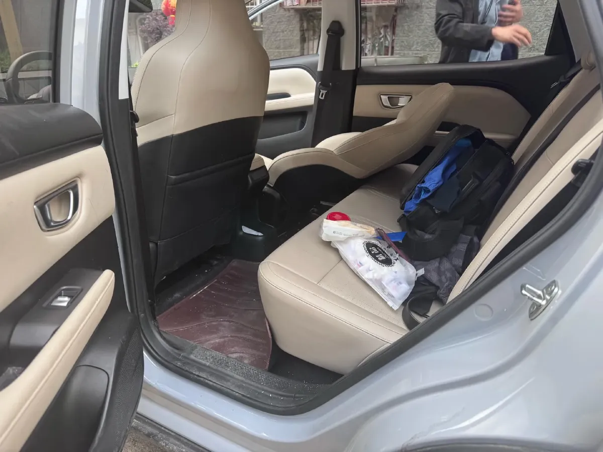 2024 WuLing BinGuoPLUS BEV 31.9KWH,autocango,china used car exporter,china ev exporter,chinese used car exporter,chinese used ev exporter