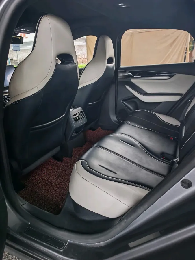 2021 DongFeng FuKang e Elysee BEV 30.7KWH,autocango,china used car exporter,china ev exporter,chinese used car exporter,chinese used ev exporter