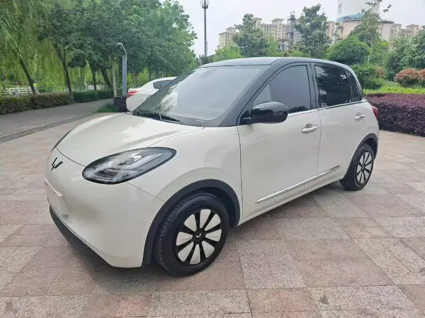 2024 WuLing BinGuo BEV 31.9KWH,autocango,china used car exporter,china ev exporter,chinese used car exporter,chinese used ev exporter