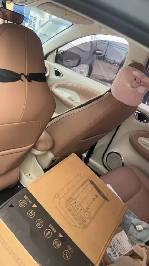 2024 WuLing BinGuo BEV 31.9KWH,autocango,china used car exporter,china ev exporter,chinese used car exporter,chinese used ev exporter