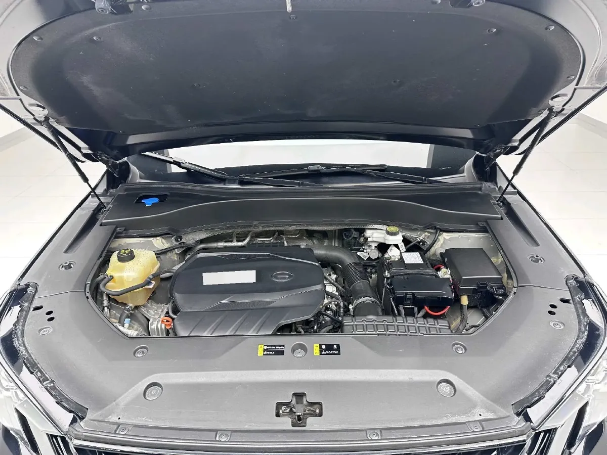 2022 GAC Trumpchi GS8 2.0T 252HP L4 8AT,autocango,china used car exporter,china ev exporter,chinese used car exporter,chinese used ev exporter