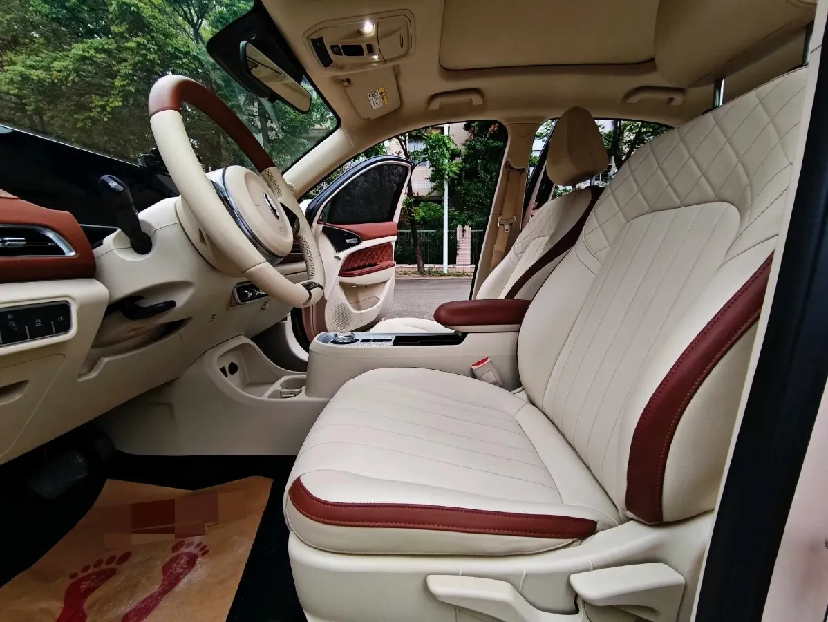 2021 Ora FunkyCat BEV 45.99KWH,autocango,china used car exporter,china ev exporter,chinese used car exporter,chinese used ev exporter