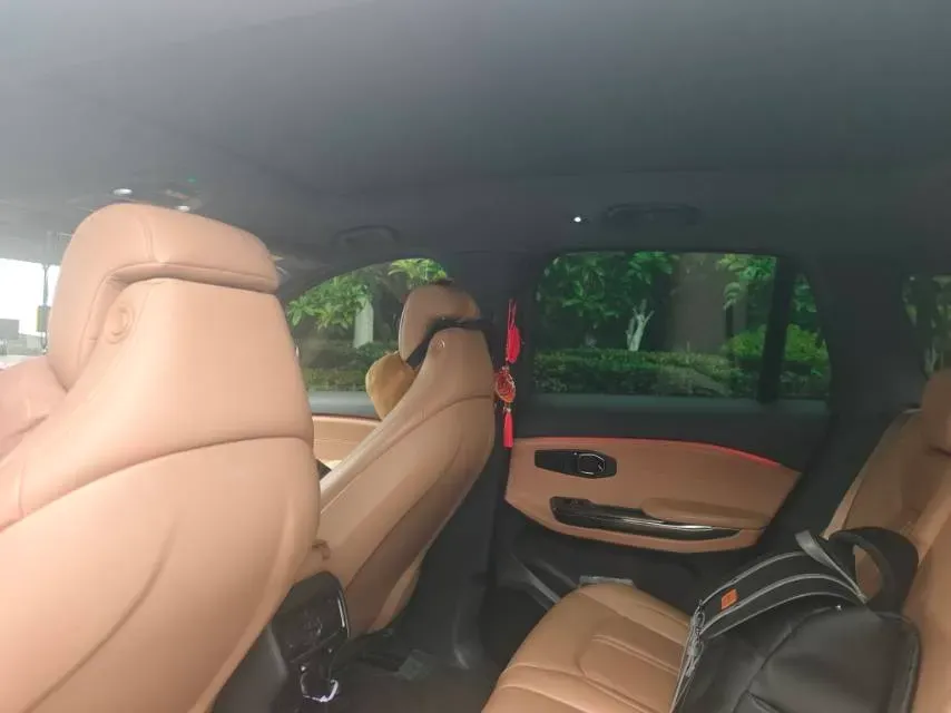 2020 Lexus NX 2.5L 155HP L4 E-CVT Hybrid,autocango,china used car exporter,china ev exporter,chinese used car exporter,chinese used ev exporter