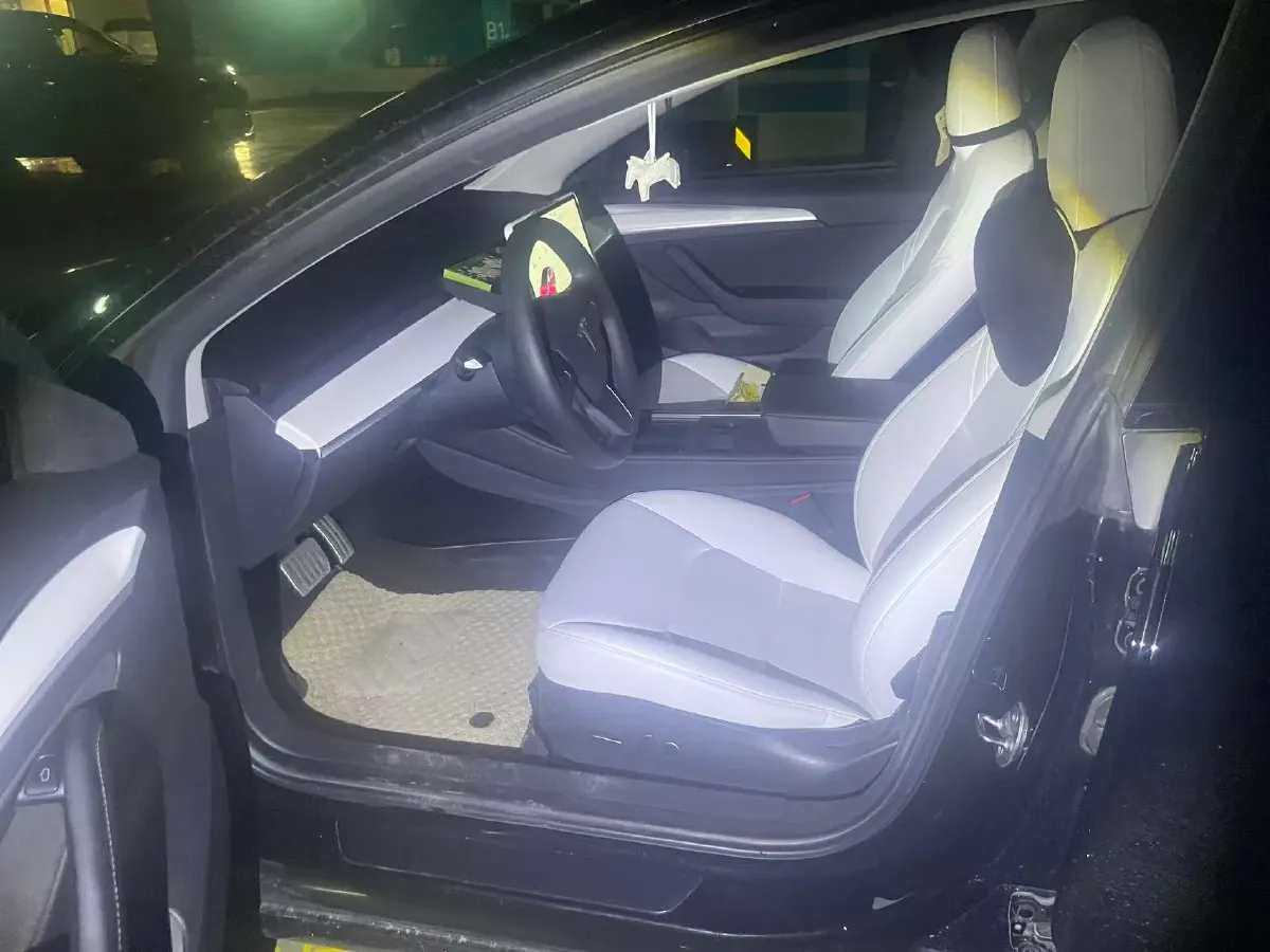 2021 Tesla Model 3 BEV 55KWH,autocango,china used car exporter,china ev exporter,chinese used car exporter,chinese used ev exporter