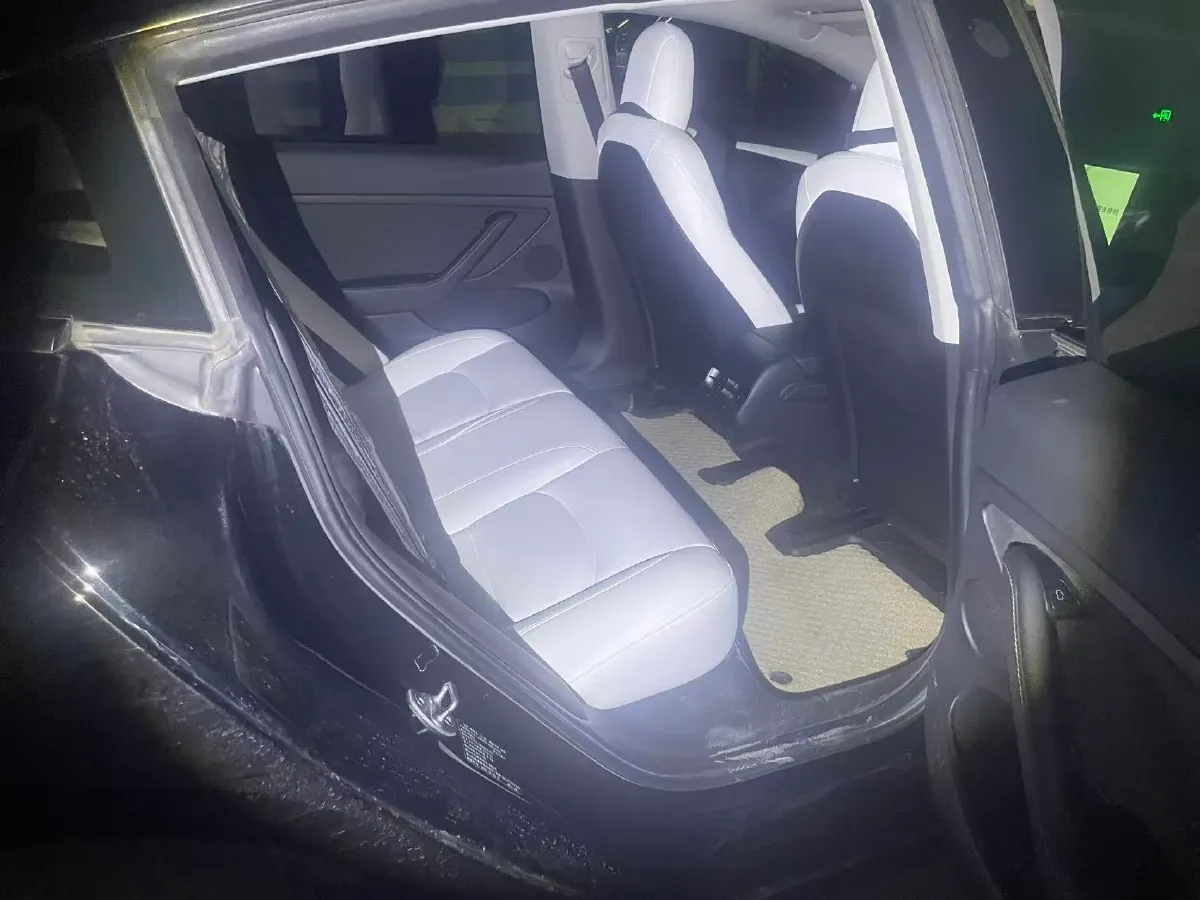 2021 Tesla Model 3 BEV 55KWH,autocango,china used car exporter,china ev exporter,chinese used car exporter,chinese used ev exporter