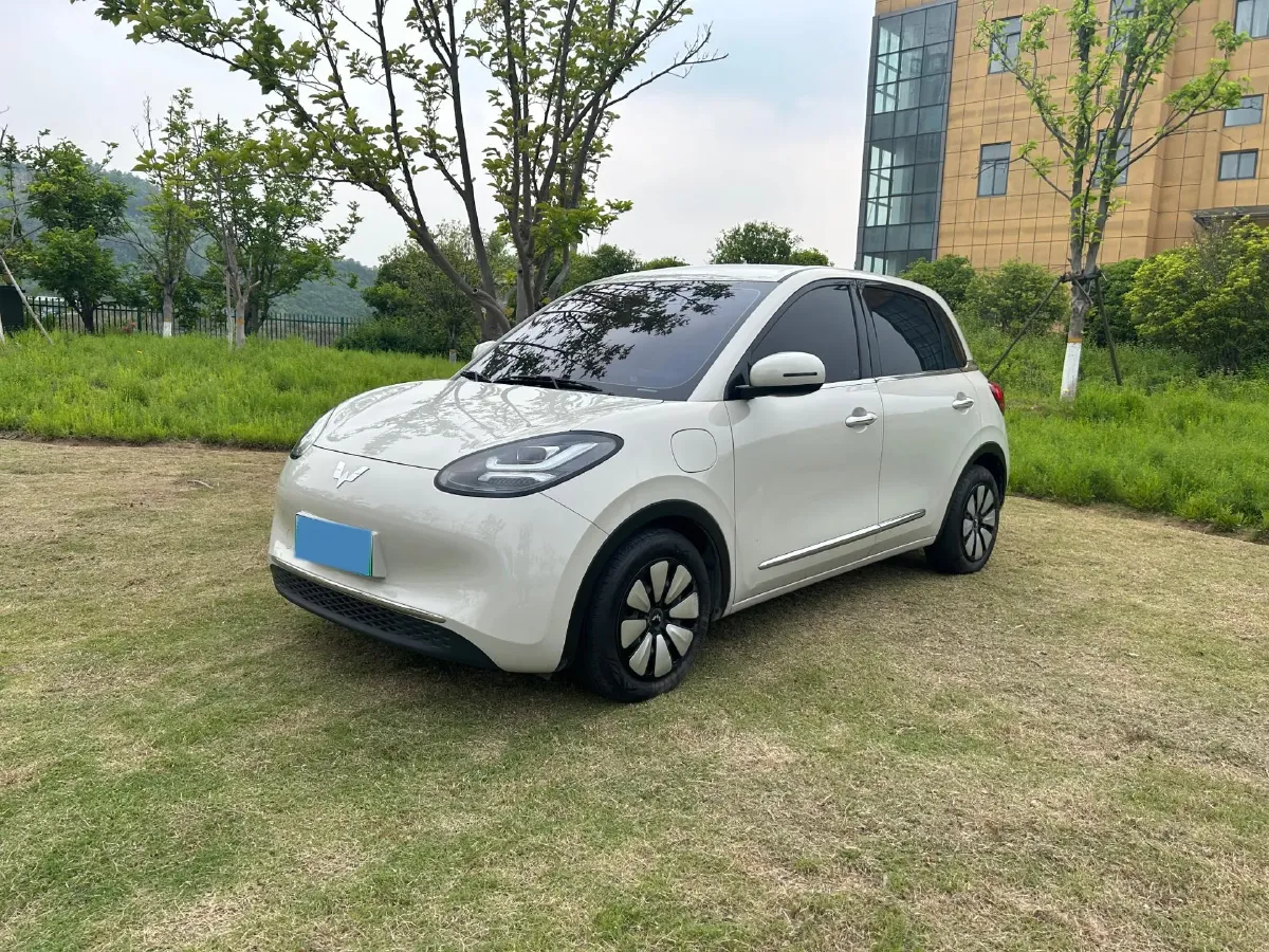 2024 WuLing BinGuo BEV 31.9KWH,autocango,china used car exporter,china ev exporter,chinese used car exporter,chinese used ev exporter