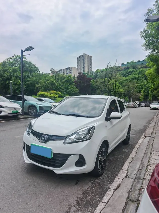 2021 ChangAn BenBen E-Star BEV 31.95KWH,autocango,china used car exporter,china ev exporter,chinese used car exporter,chinese used ev exporter