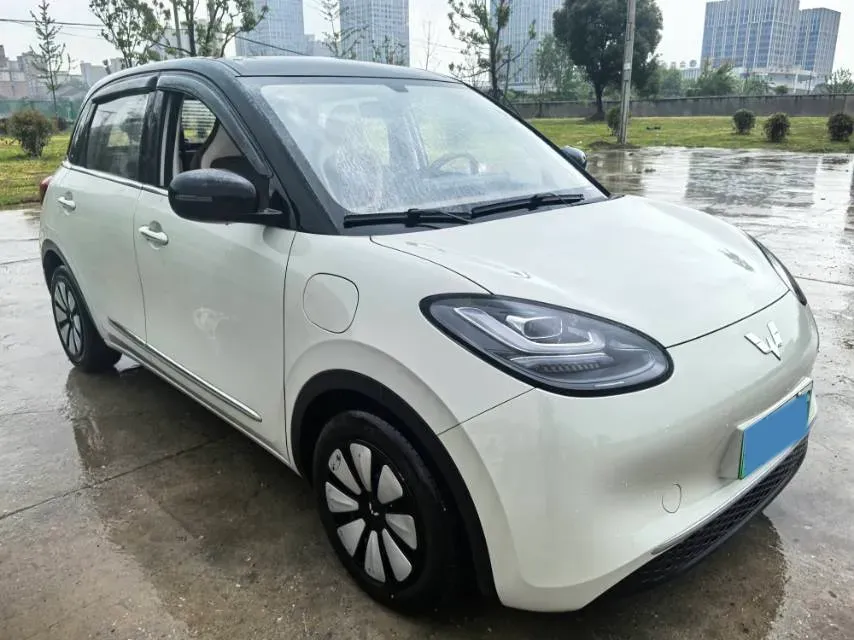2025 WuLing BinGuo BEV,autocango,china used car exporter,china ev exporter,chinese used car exporter,chinese used ev exporter