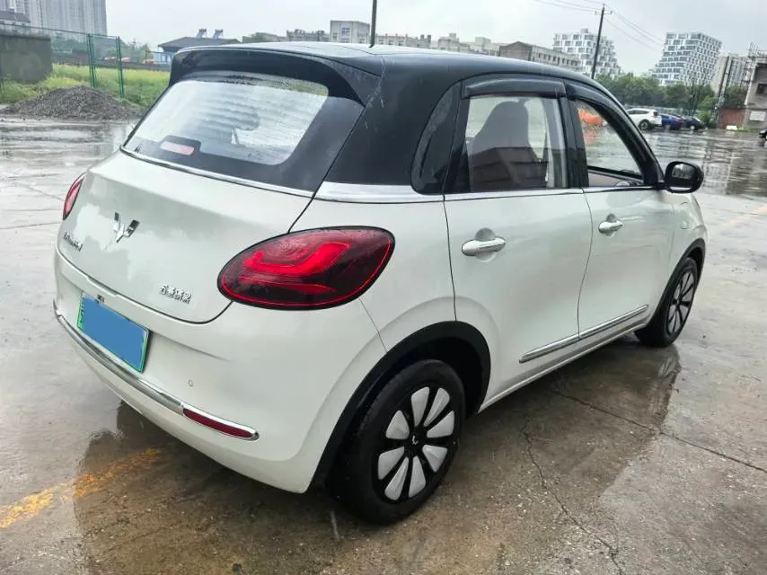 2025 WuLing BinGuo BEV,autocango,china used car exporter,china ev exporter,chinese used car exporter,chinese used ev exporter
