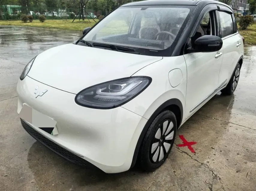 2025 WuLing BinGuo BEV,autocango,china used car exporter,china ev exporter,chinese used car exporter,chinese used ev exporter