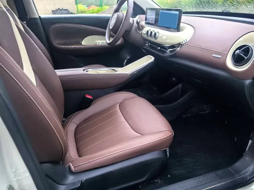 2025 WuLing BinGuo BEV,autocango,china used car exporter,china ev exporter,chinese used car exporter,chinese used ev exporter