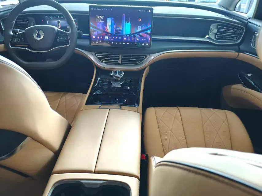 2024 Denza D9 1.5T 139HP L4 E-CVT PHEV 40KWH,autocango,china used car exporter,china ev exporter,chinese used car exporter,chinese used ev exporter