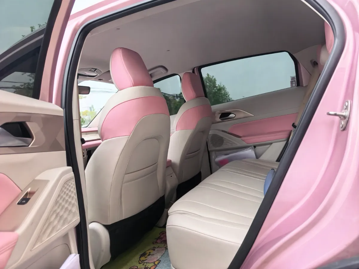 2024 Geometry E BEV 29.67KWH,autocango,china used car exporter,china ev exporter,chinese used car exporter,chinese used ev exporter