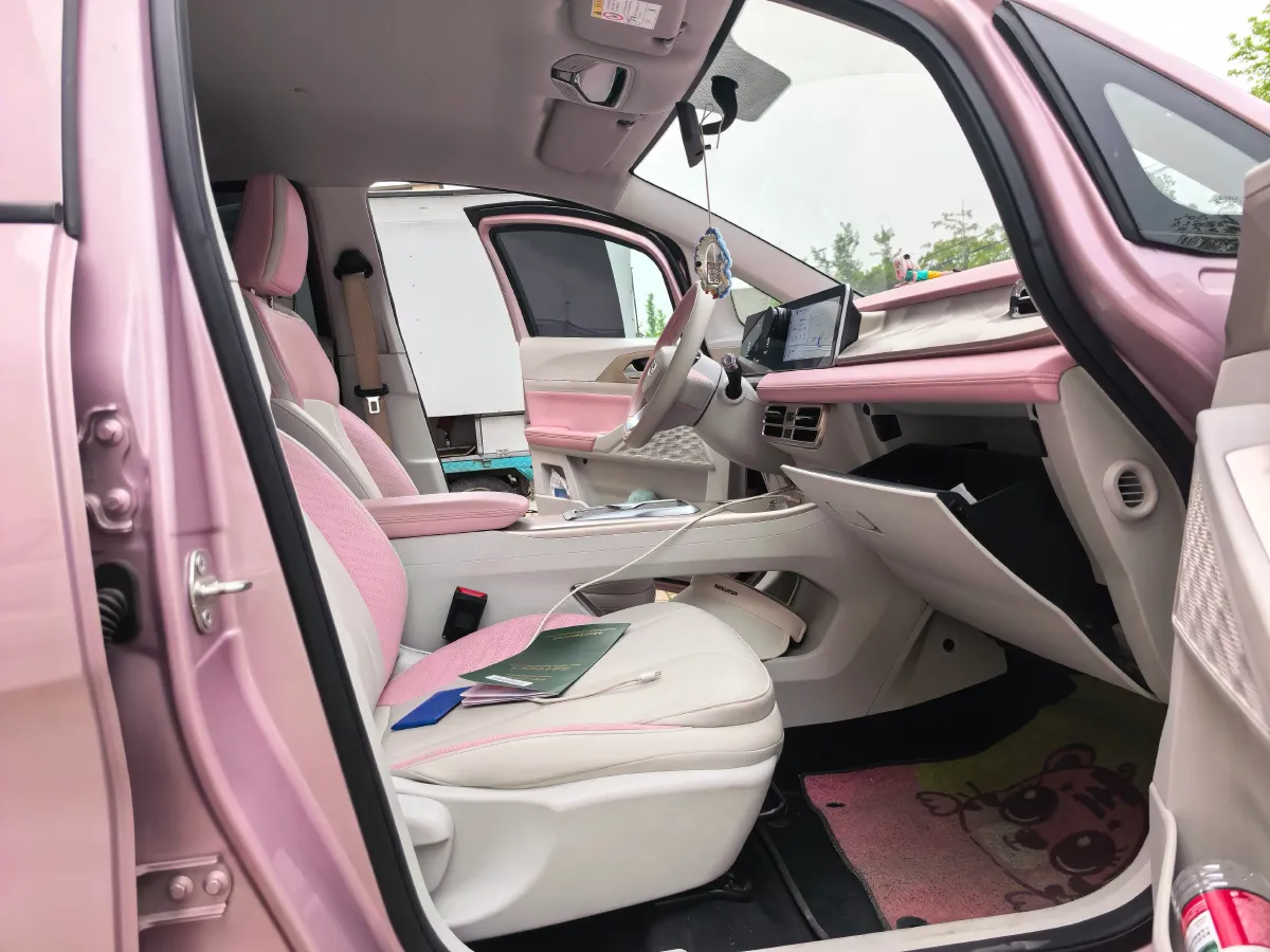 2024 Geometry E BEV 29.67KWH,autocango,china used car exporter,china ev exporter,chinese used car exporter,chinese used ev exporter