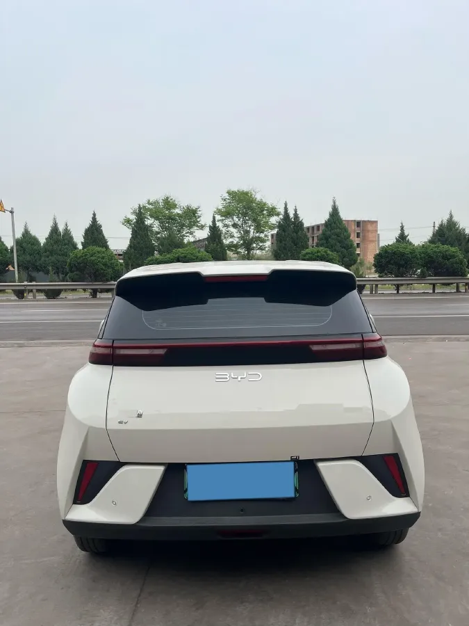 2025 BYD Seagull BEV 30.08KWH,autocango,china used car exporter,china ev exporter,chinese used car exporter,chinese used ev exporter