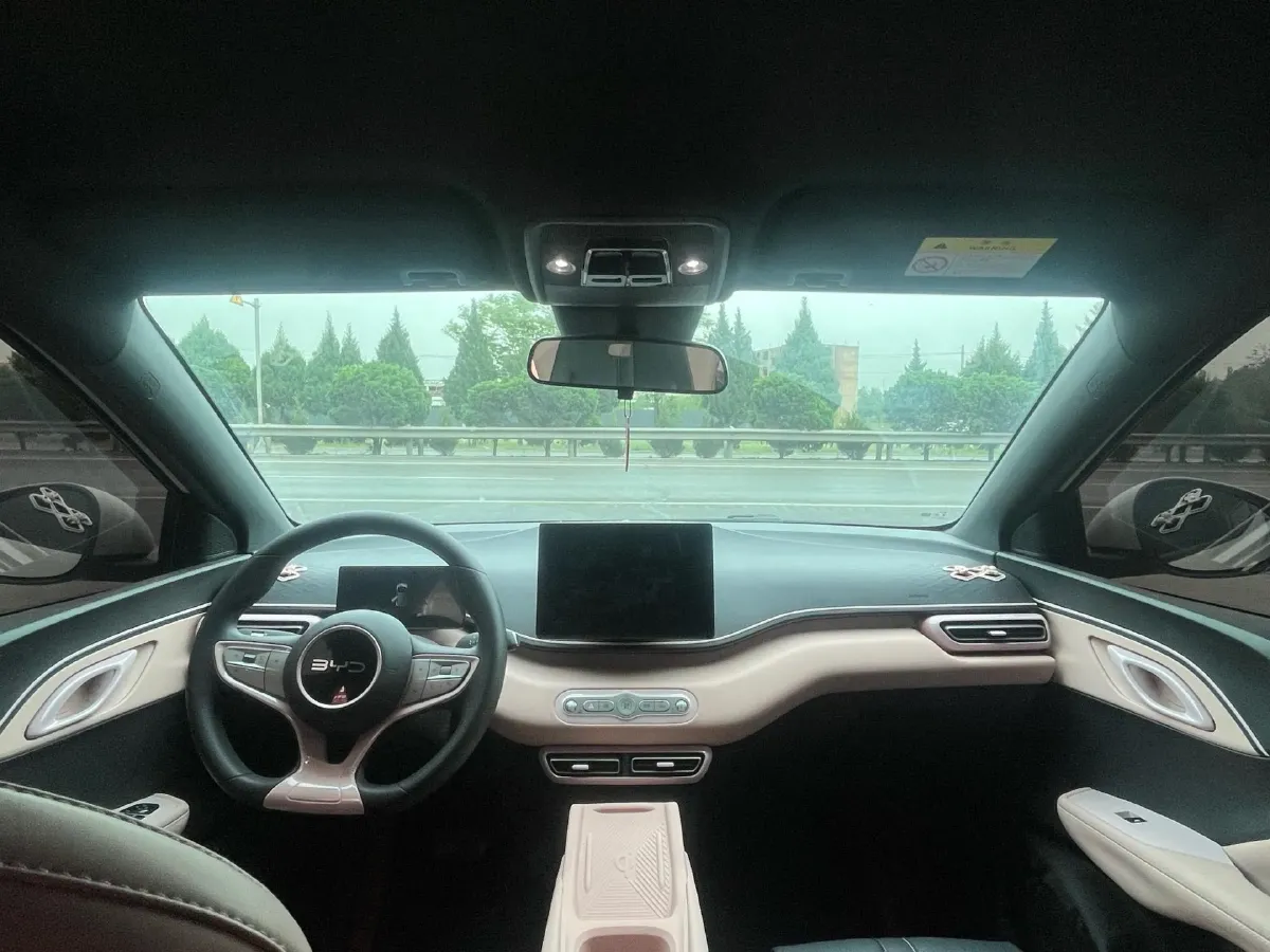 2025 BYD Seagull BEV 30.08KWH,autocango,china used car exporter,china ev exporter,chinese used car exporter,chinese used ev exporter