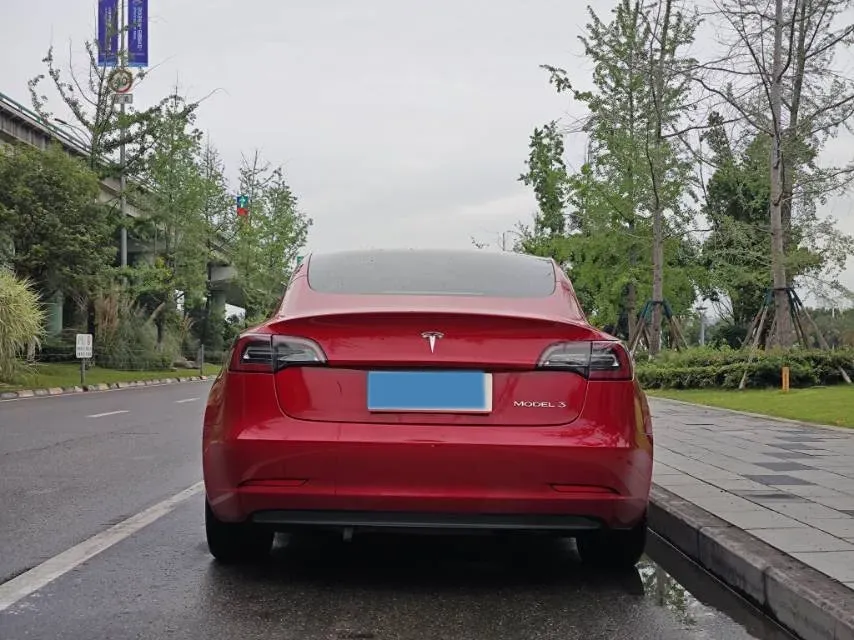 2020 Tesla Model 3 BEV 52KWH,autocango,china used car exporter,china ev exporter,chinese used car exporter,chinese used ev exporter