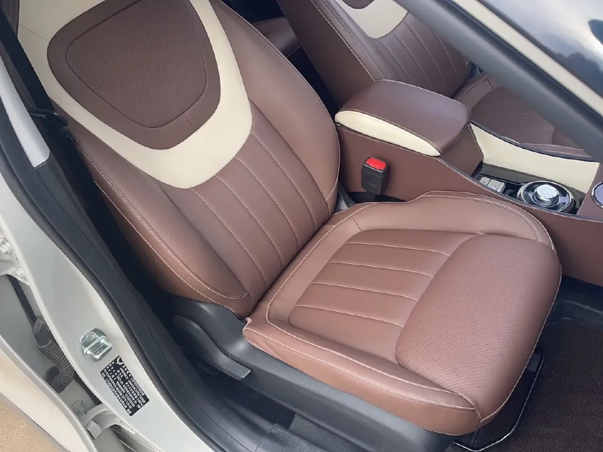 2023 WuLing BinGuo BEV 31.9KWH,autocango,china used car exporter,china ev exporter,chinese used car exporter,chinese used ev exporter