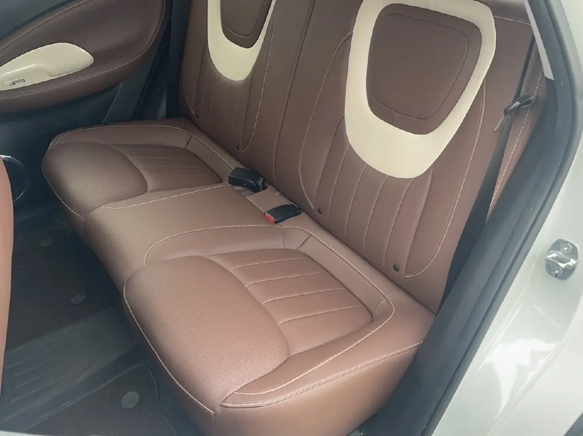 2023 WuLing BinGuo BEV 31.9KWH,autocango,china used car exporter,china ev exporter,chinese used car exporter,chinese used ev exporter