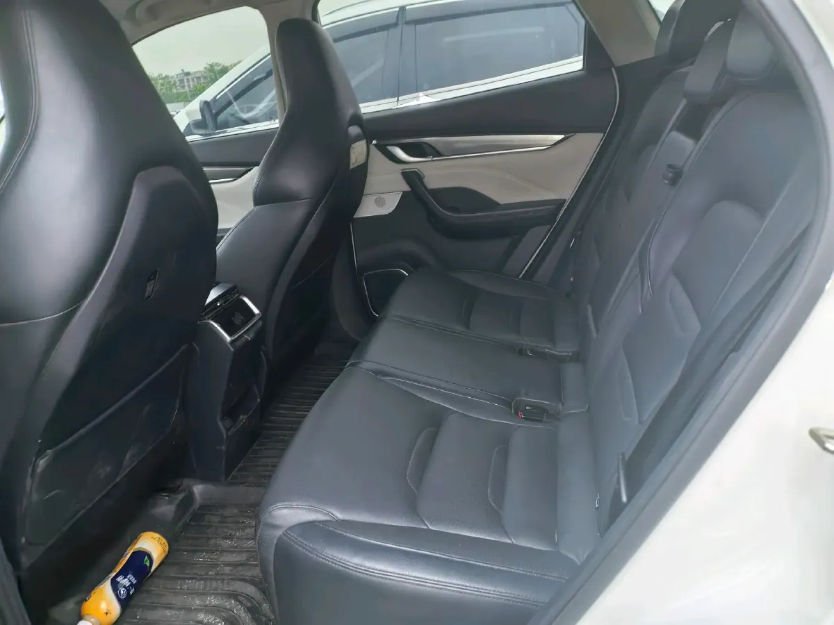 2019 Weltmeister EX5 BEV 69KWH,autocango,china used car exporter,china ev exporter,chinese used car exporter,chinese used ev exporter