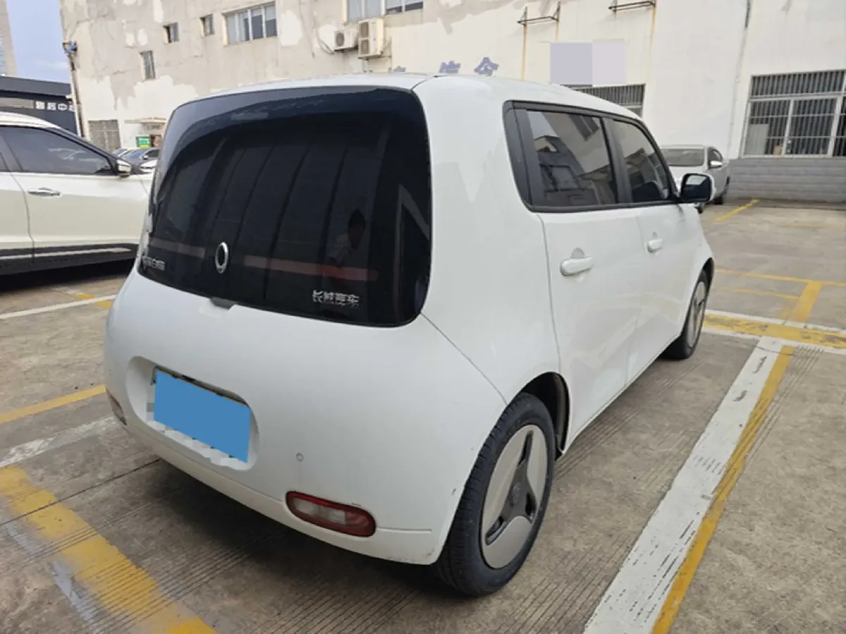 2020 Ora WhiteCat BEV 33KWH,autocango,china used car exporter,china ev exporter,chinese used car exporter,chinese used ev exporter