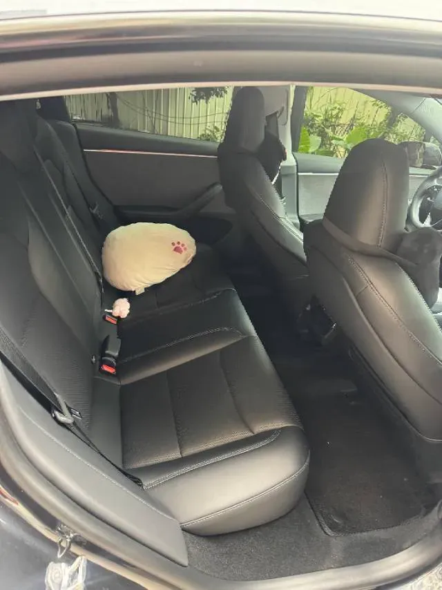 2025 Tesla Model 3 BEV 62.5KWH,autocango,china used car exporter,china ev exporter,chinese used car exporter,chinese used ev exporter