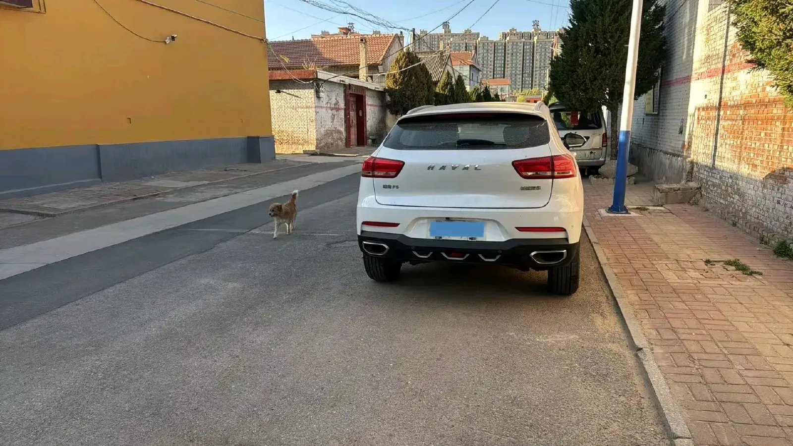 2020 Haval F5 1.5T 150HP L4 7DCT,autocango,china used car exporter,china ev exporter,chinese used car exporter,chinese used ev exporter