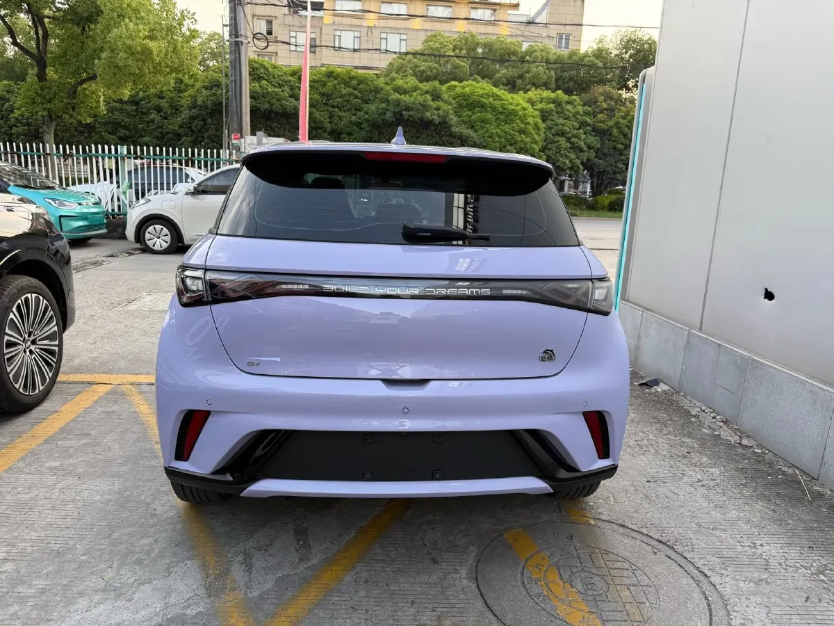 2023 BYD Dolphin BEV 44.928KWH,autocango,china used car exporter,china ev exporter,chinese used car exporter,chinese used ev exporter