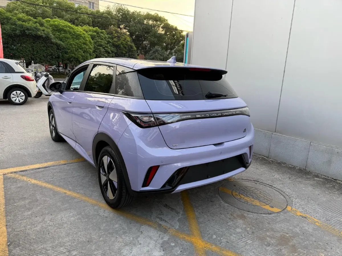 2023 BYD Dolphin BEV 44.928KWH,autocango,china used car exporter,china ev exporter,chinese used car exporter,chinese used ev exporter