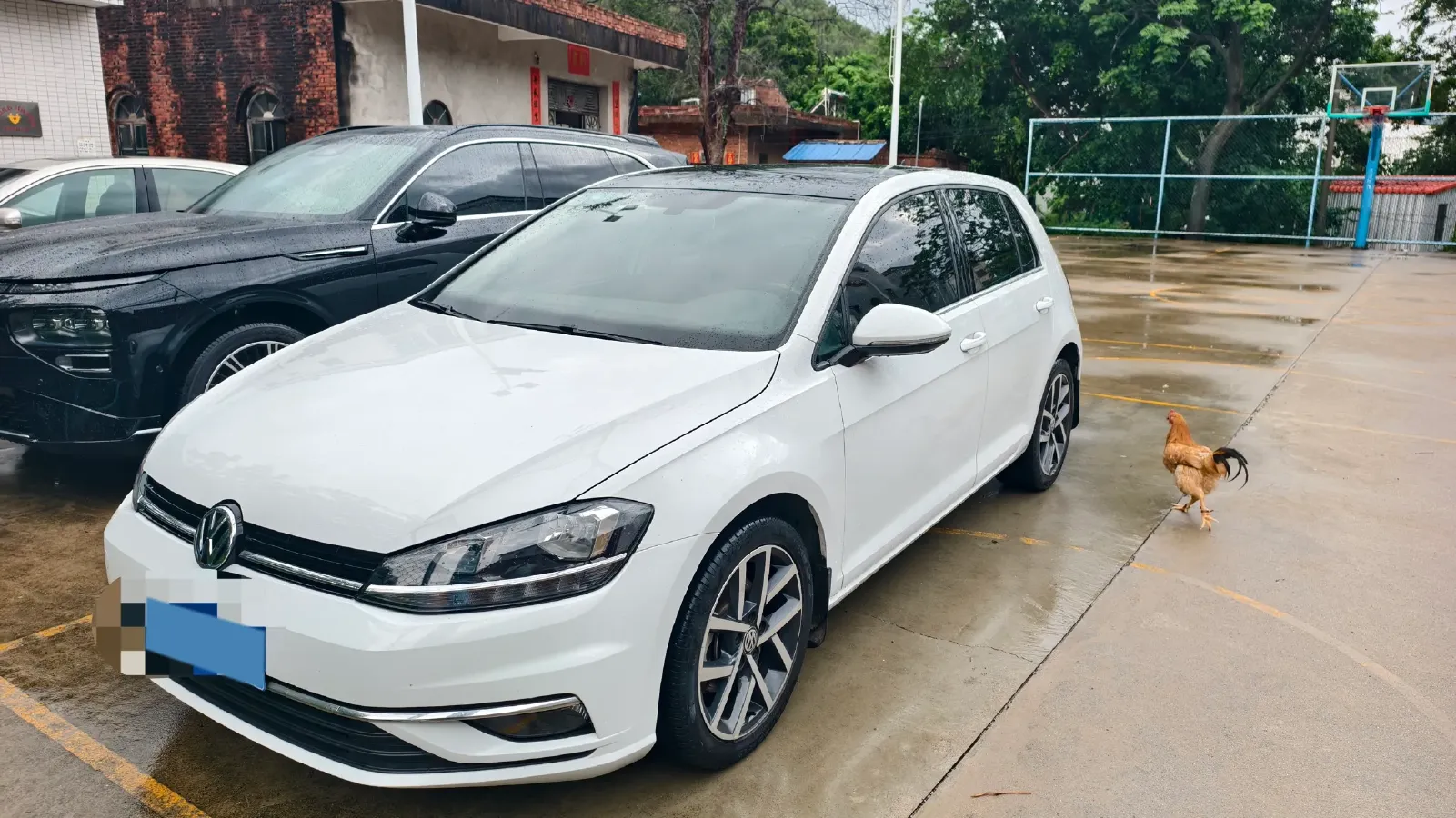 2019 Volkswagen Golf 1.4T 150HP L4 7DCT,autocango,china used car exporter,china ev exporter,chinese used car exporter,chinese used ev exporter