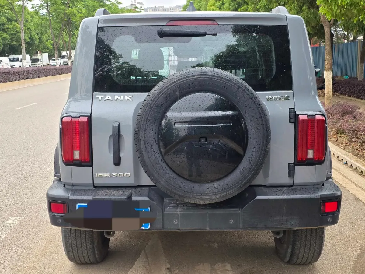 2024 Tank 300 2.0T 227HP L4 8AT,autocango,china used car exporter,china ev exporter,chinese used car exporter,chinese used ev exporter