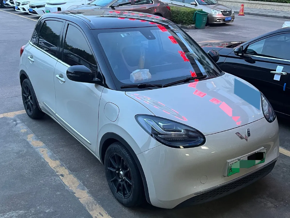 2023 WuLing BinGuo BEV 31.9KWH,autocango,china used car exporter,china ev exporter,chinese used car exporter,chinese used ev exporter