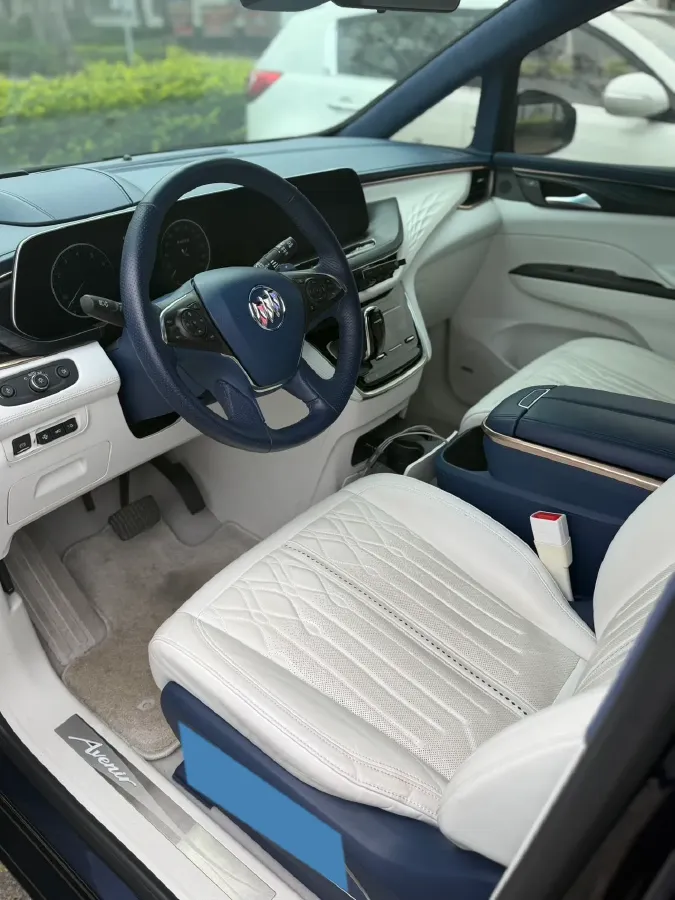 2020 Buick GL8 2.0T 237HP L4 9AT,autocango,china used car exporter,china ev exporter,chinese used car exporter,chinese used ev exporter