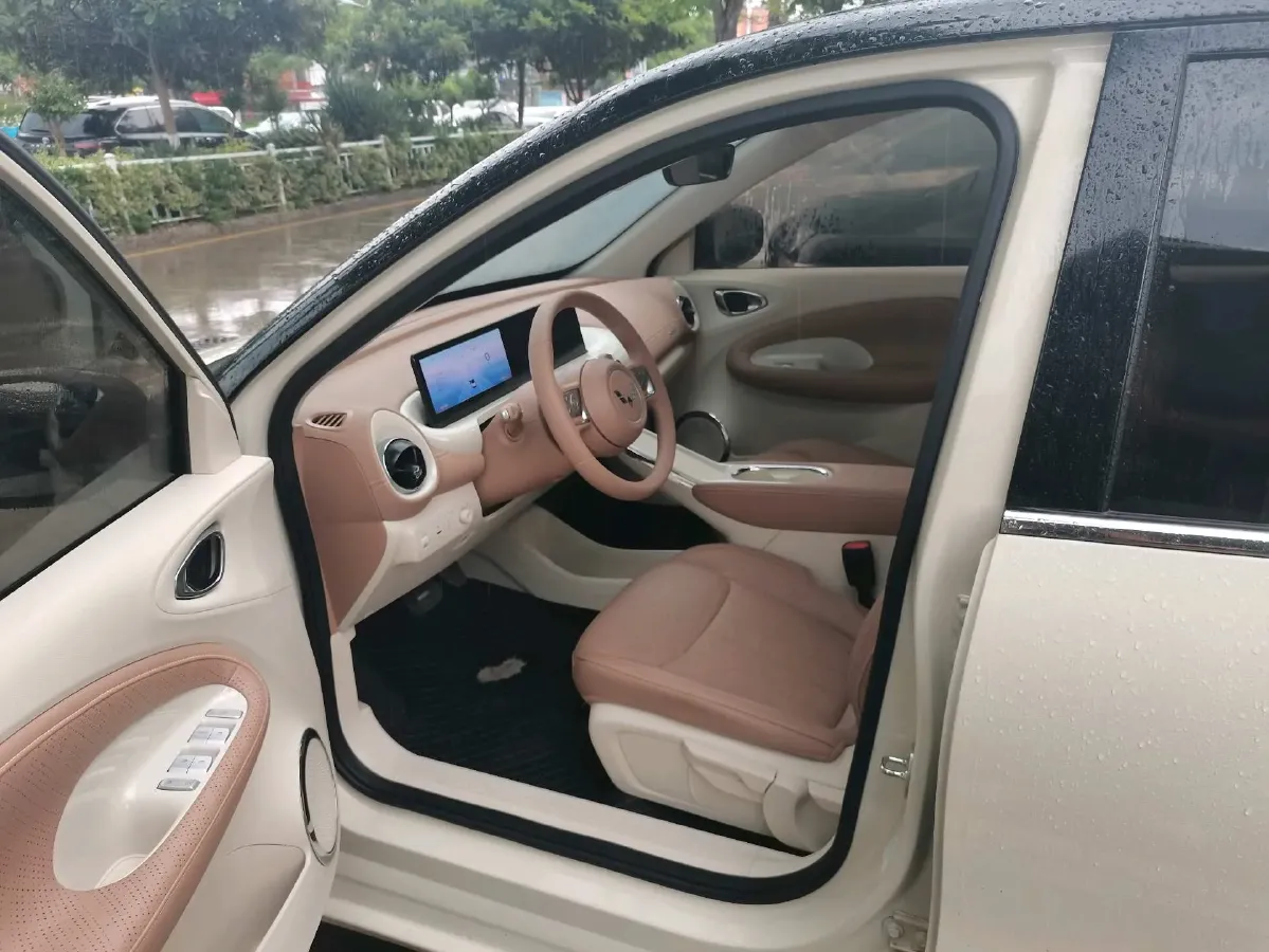 2024 WuLing BinGuo BEV 31.9KWH,autocango,china used car exporter,china ev exporter,chinese used car exporter,chinese used ev exporter
