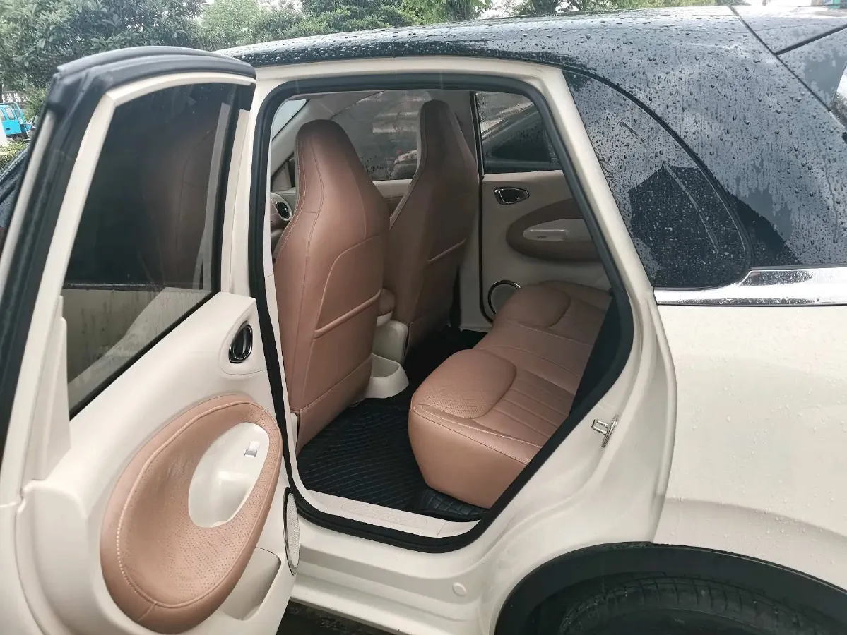 2024 WuLing BinGuo BEV 31.9KWH,autocango,china used car exporter,china ev exporter,chinese used car exporter,chinese used ev exporter