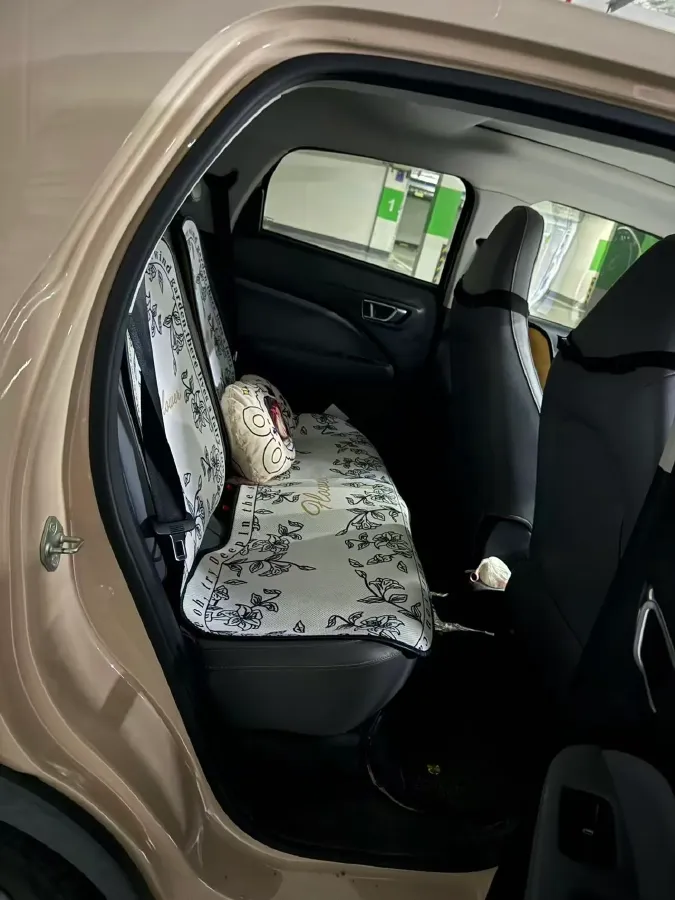 2021 Leapmotor T03 BEV 38KWH,autocango,china used car exporter,china ev exporter,chinese used car exporter,chinese used ev exporter