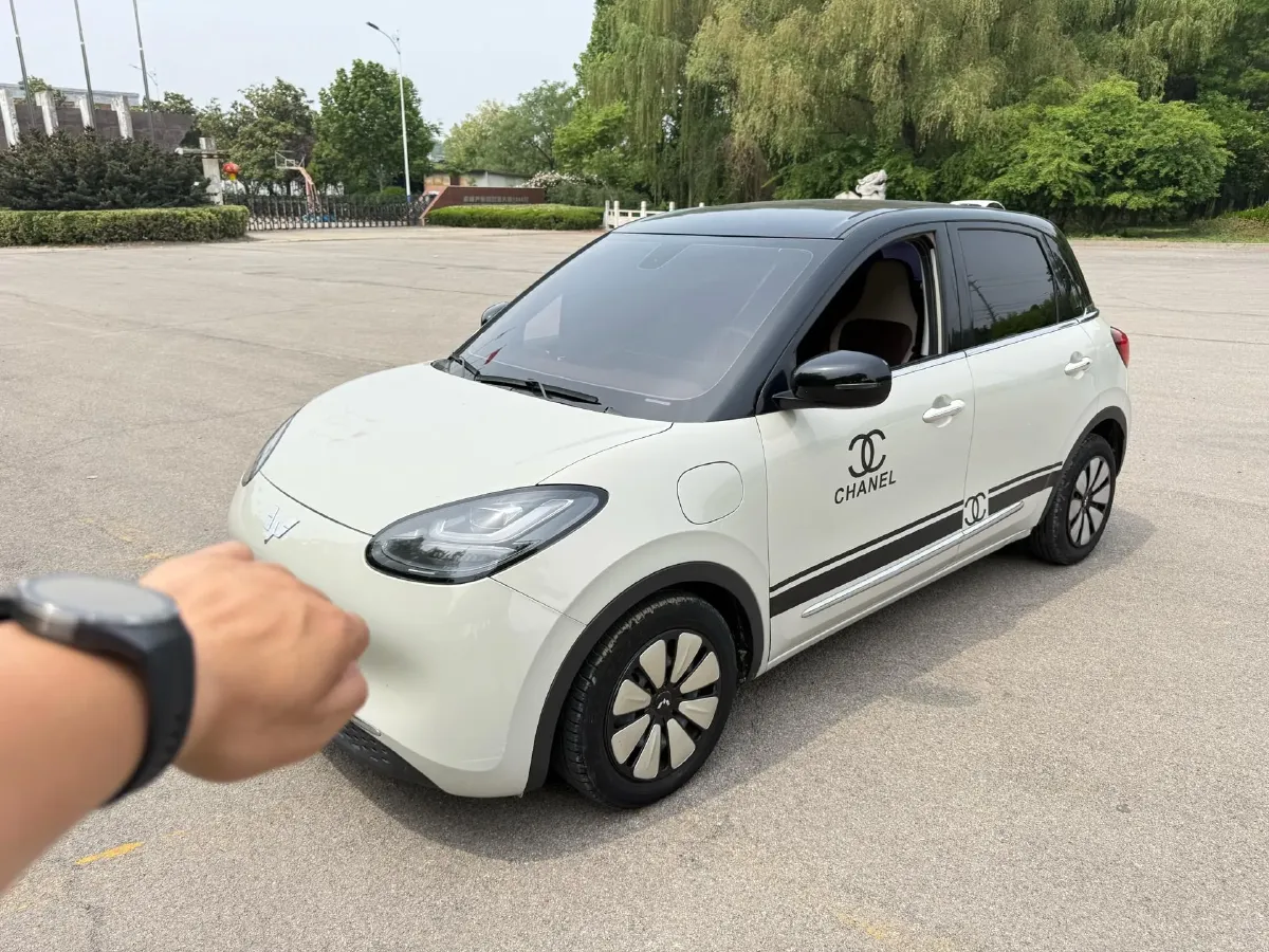 2023 WuLing BinGuo BEV 37.9KWH,autocango,china used car exporter,china ev exporter,chinese used car exporter,chinese used ev exporter