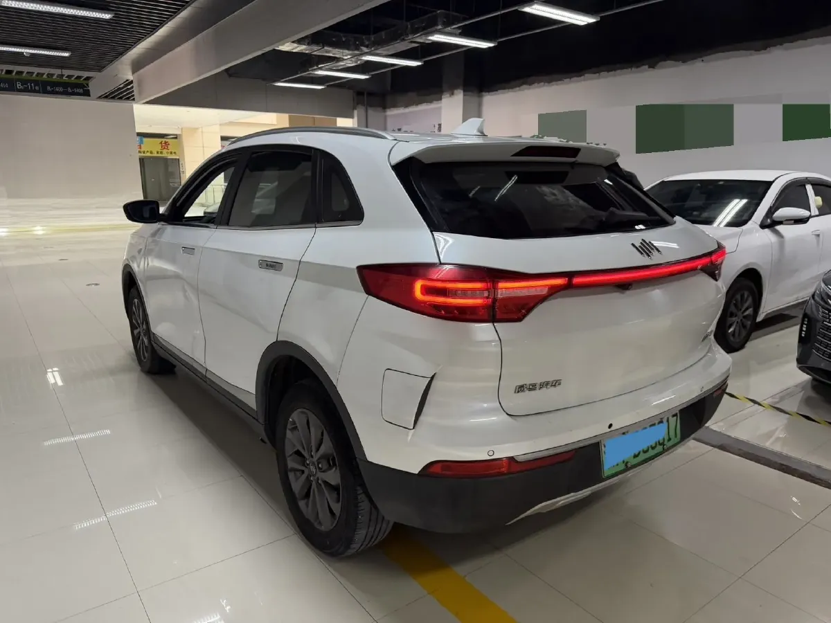 2021 Weltmeister EX5 BEV 52.704KWH,autocango,china used car exporter,china ev exporter,chinese used car exporter,chinese used ev exporter