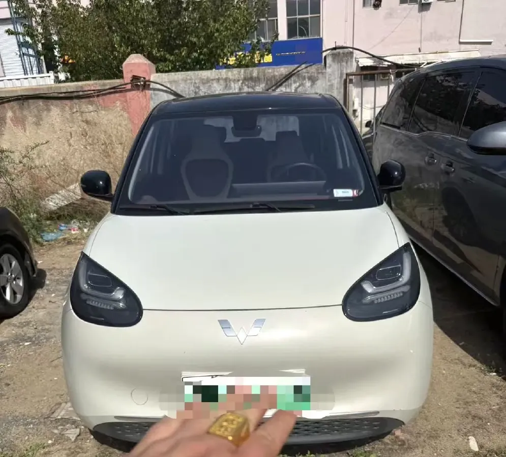 2023 WuLing BinGuo BEV 31.9KWH,autocango,china used car exporter,china ev exporter,chinese used car exporter,chinese used ev exporter