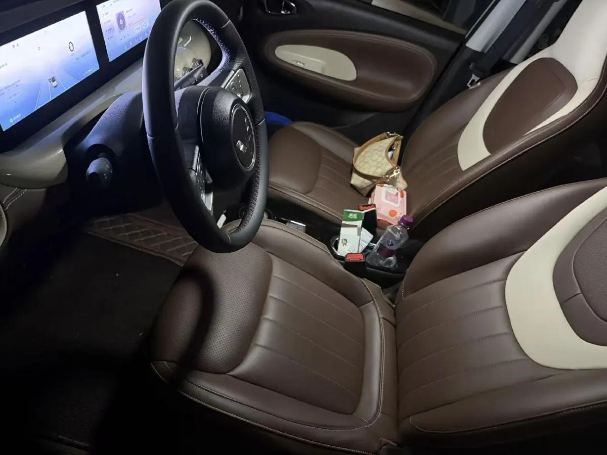 2023 WuLing BinGuo BEV 31.9KWH,autocango,china used car exporter,china ev exporter,chinese used car exporter,chinese used ev exporter