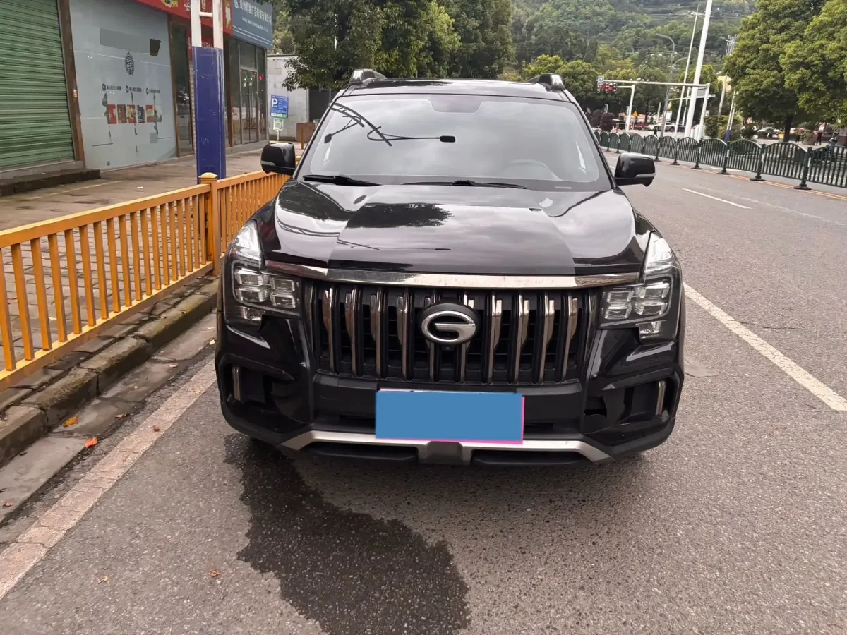 2020 GAC Trumpchi GS8 2.0T 252HP L4 6AT,autocango,china used car exporter,china ev exporter,chinese used car exporter,chinese used ev exporter