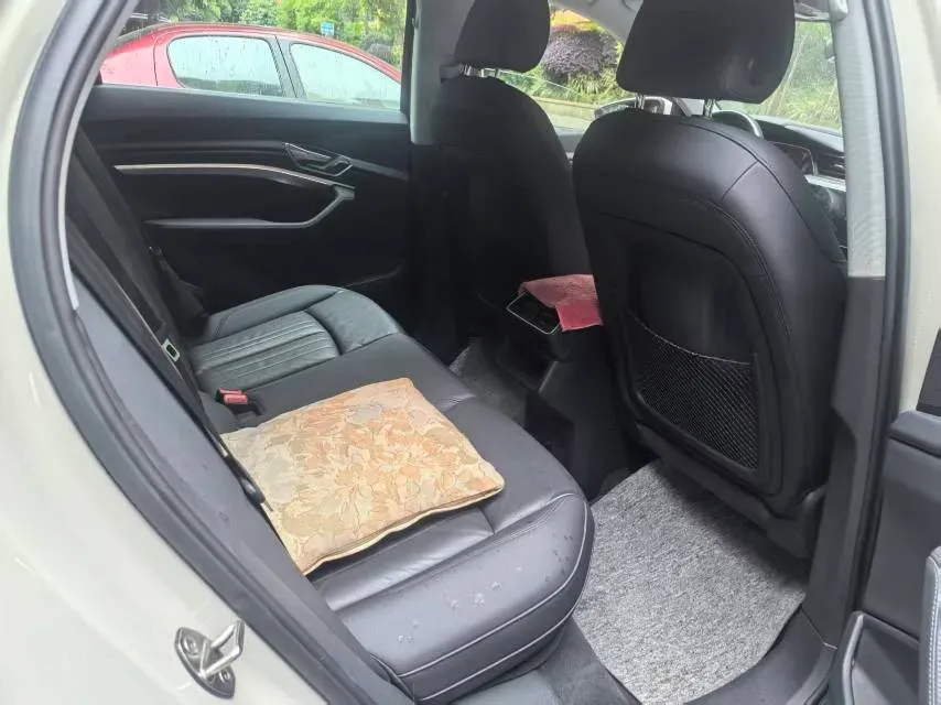 2019 Audi e-tron 2AT BEV 95KWH,autocango,china used car exporter,china ev exporter,chinese used car exporter,chinese used ev exporter